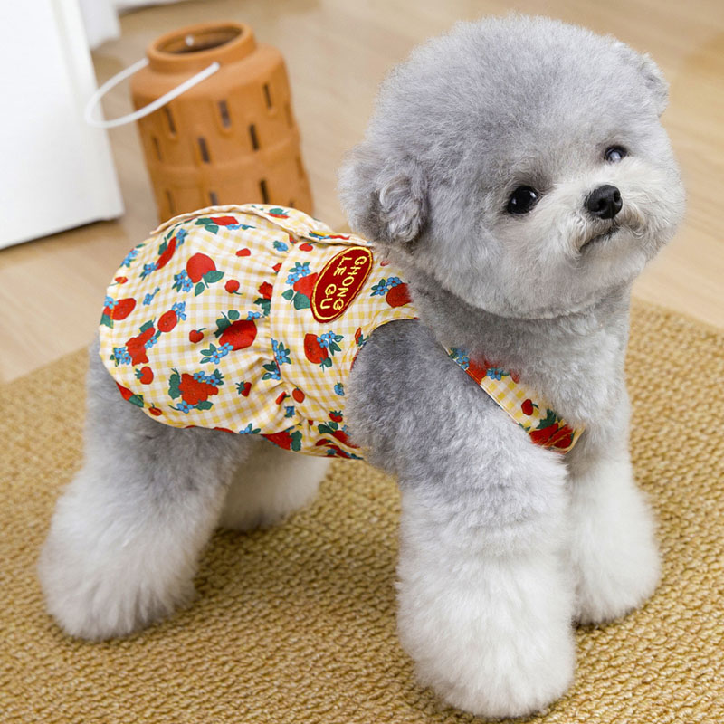 Vêtements d'été pour chiens, r - Yellow Summer Clothing avis et prix