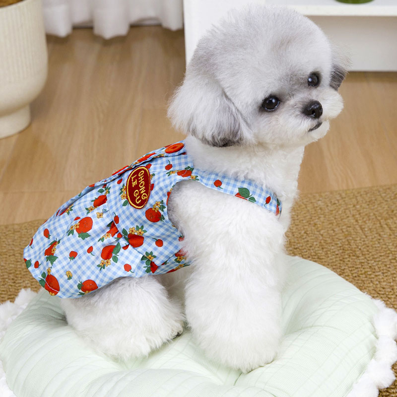 Vêtements d'été pour chiens, r - Yellow Summer Clothing avis et prix